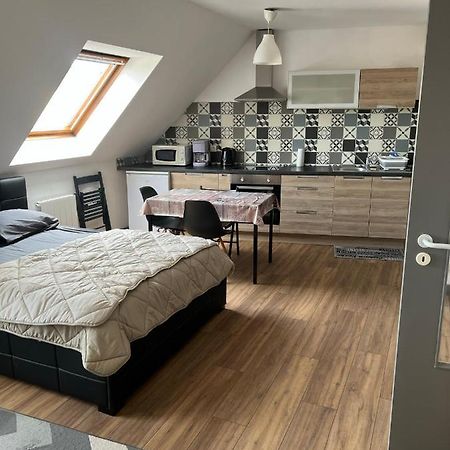Super Appartement Colmar Centre Luaran gambar