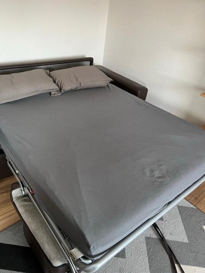 Super Appartement Colmar Centre Luaran gambar