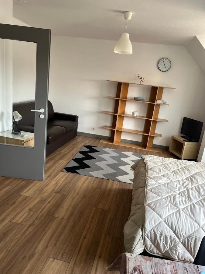 Super Appartement Colmar Centre Luaran gambar